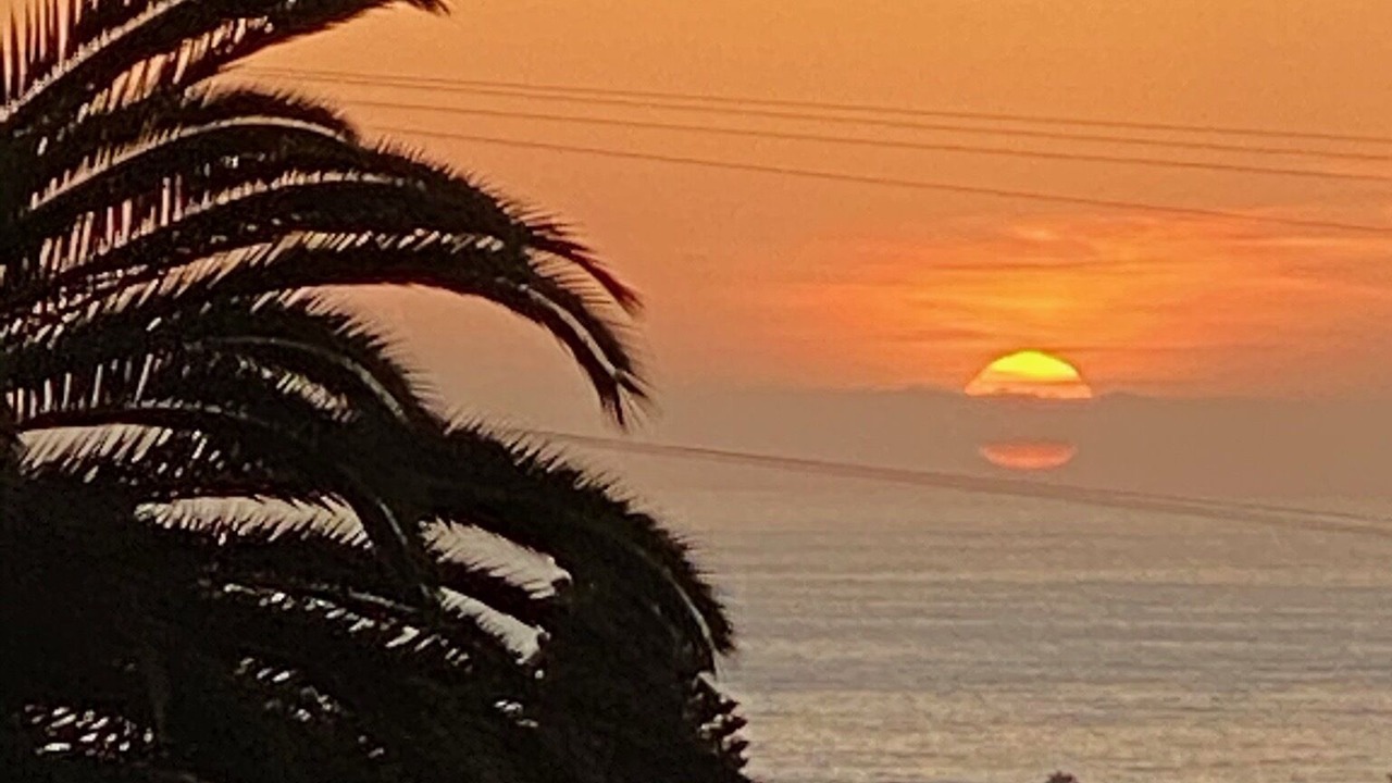 Photo of Others in Central Mission Beach