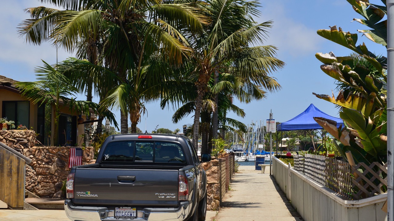 Photo of Others in Central Mission Beach