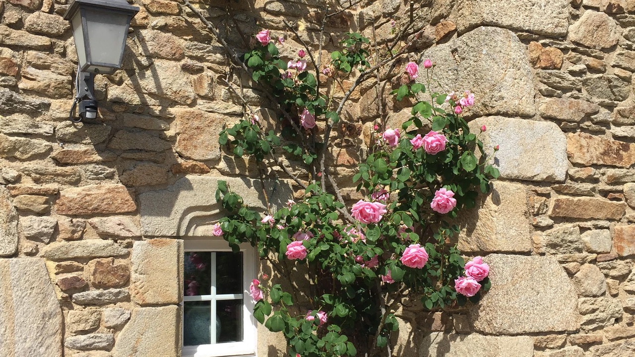 Photo of Outdoor in La Turballe