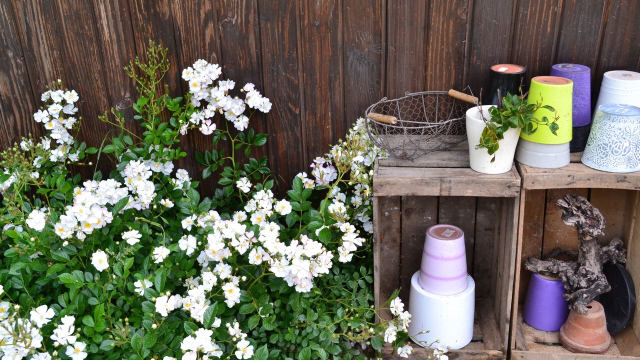 Photo of Outdoor in Marans