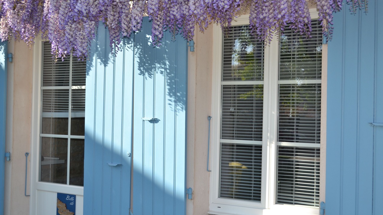 Photo of Outdoor in Marans