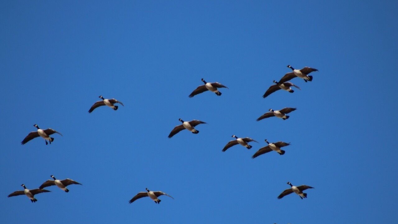 Photo of Others in Wood River