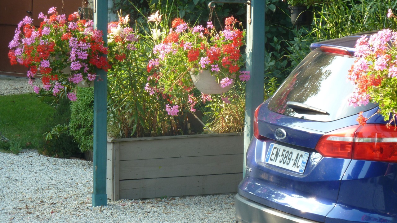 Photo of Outdoor in Ceaux