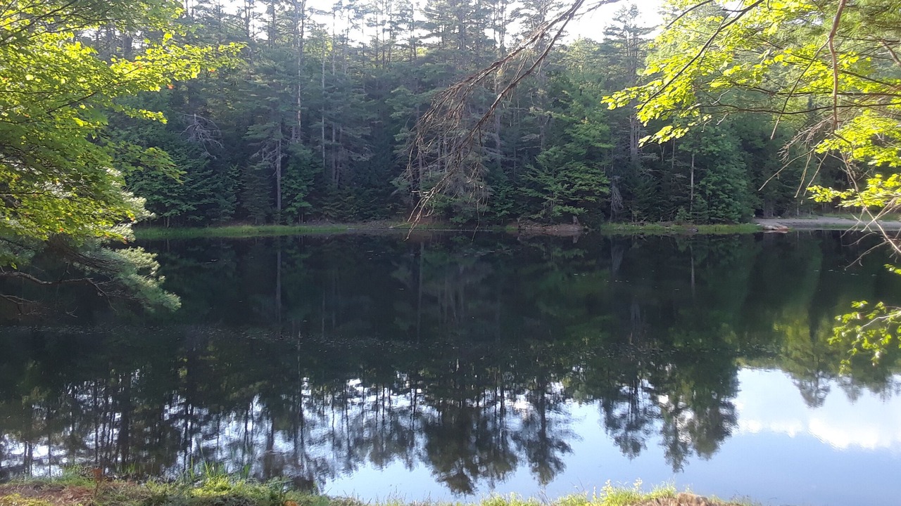 Photo of Others in Brant Lake