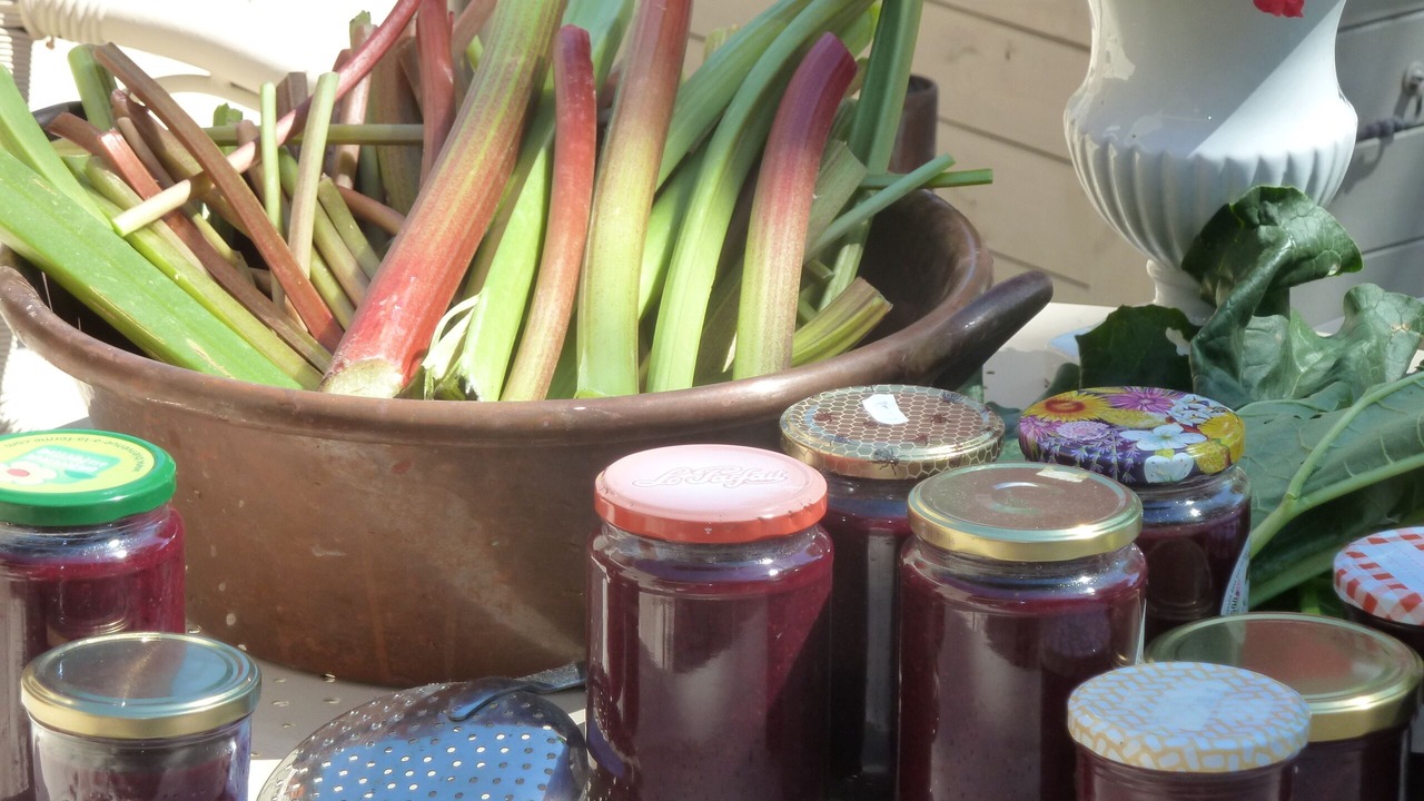 Photo of Others in Ceaux