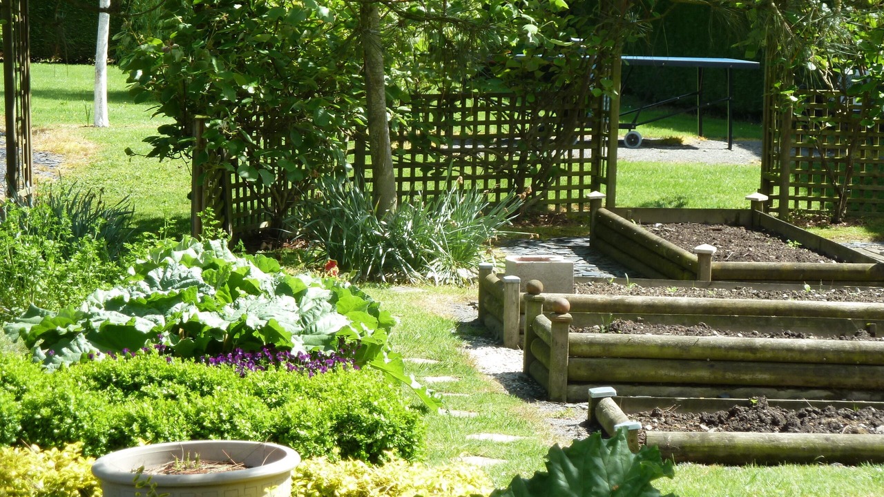 Photo of Outdoor in Ceaux