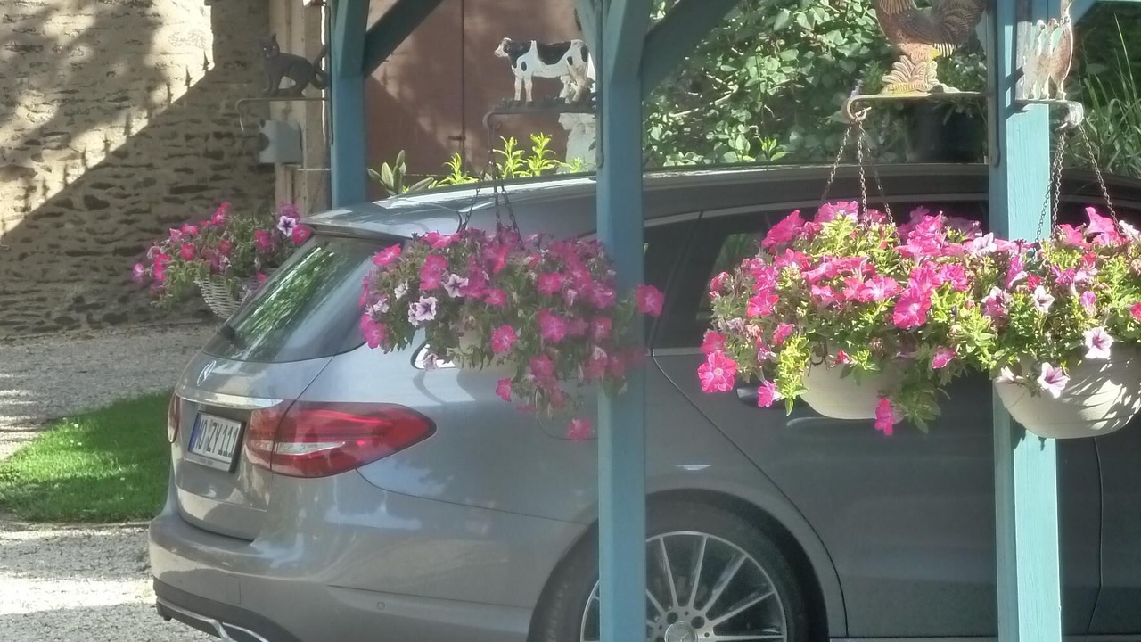 Photo of Outdoor in Ceaux