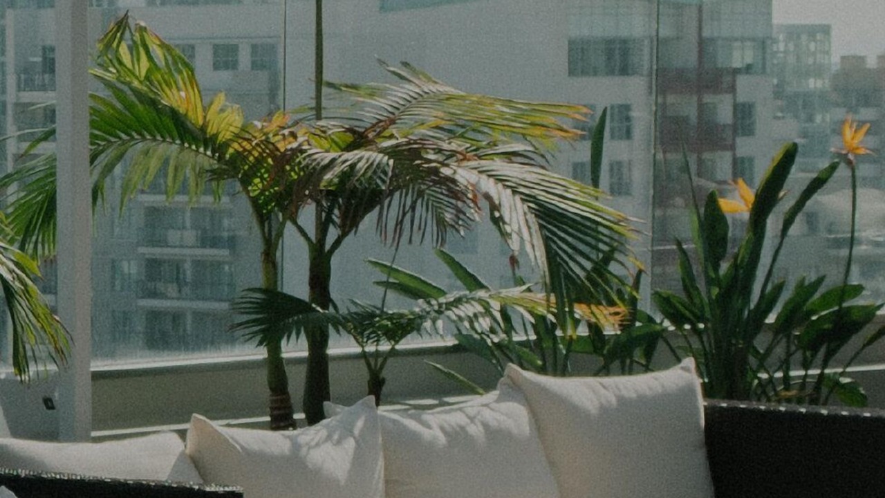 Photo of Outdoor in MIT