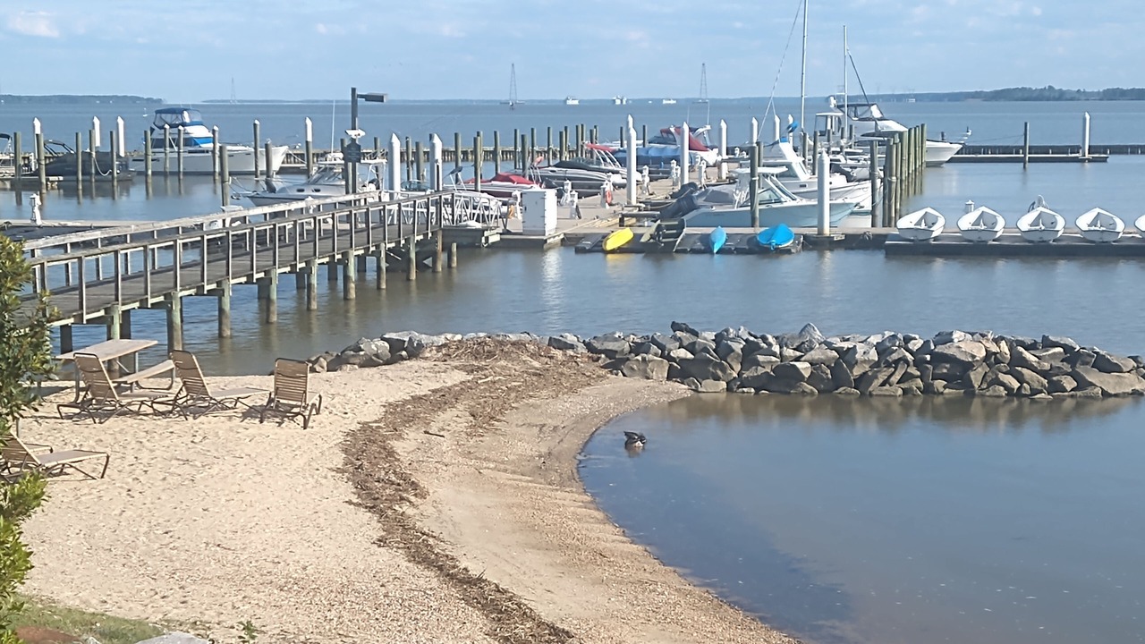 Photo of Others in Kingsmill
