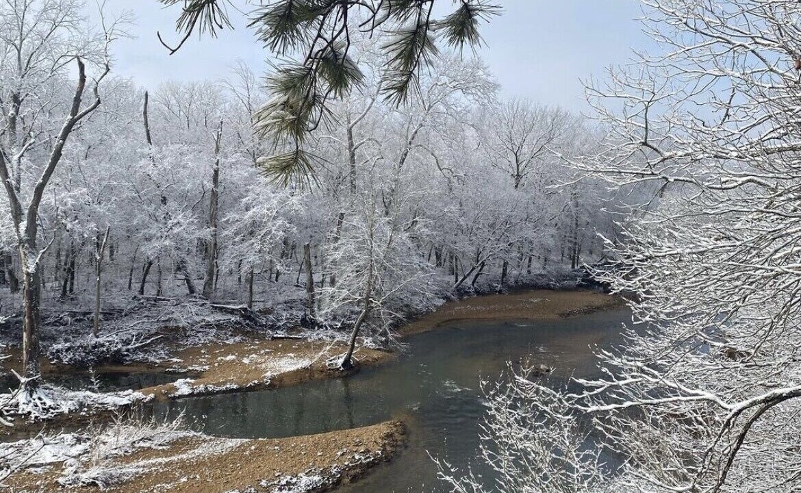 Photo of Others in Elkland