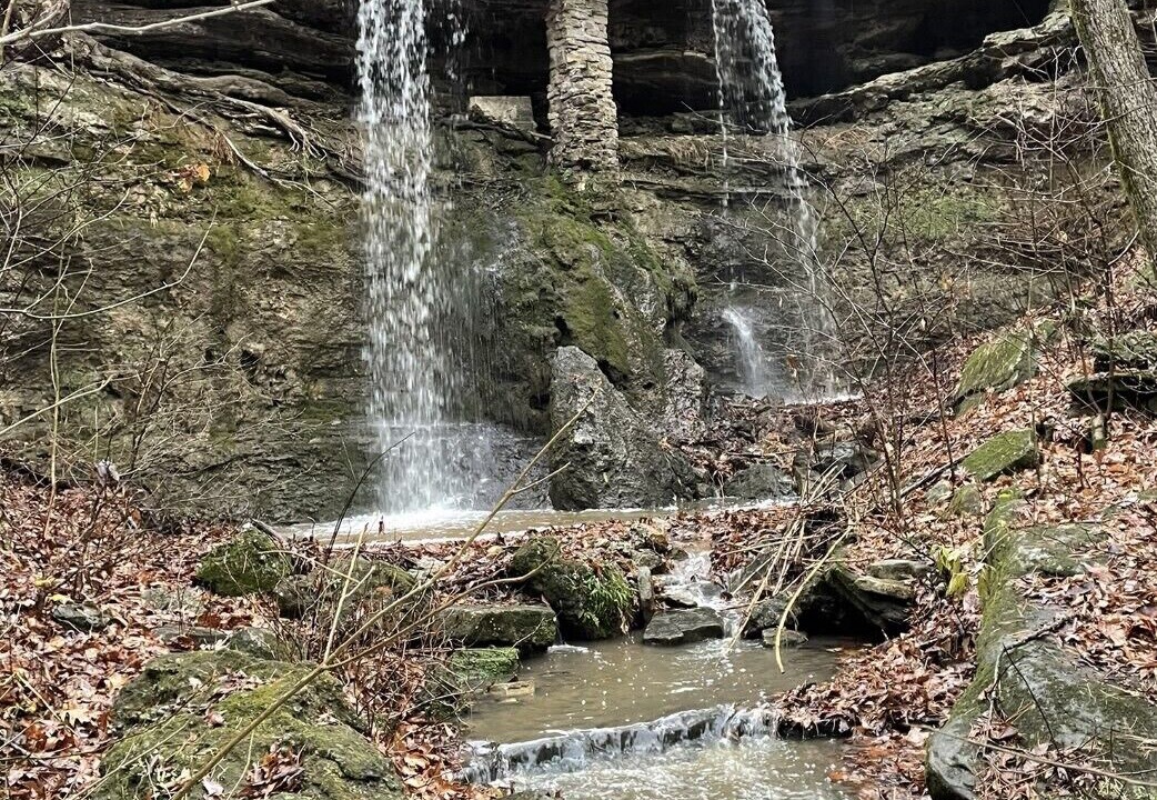 Photo of Others in Elkland