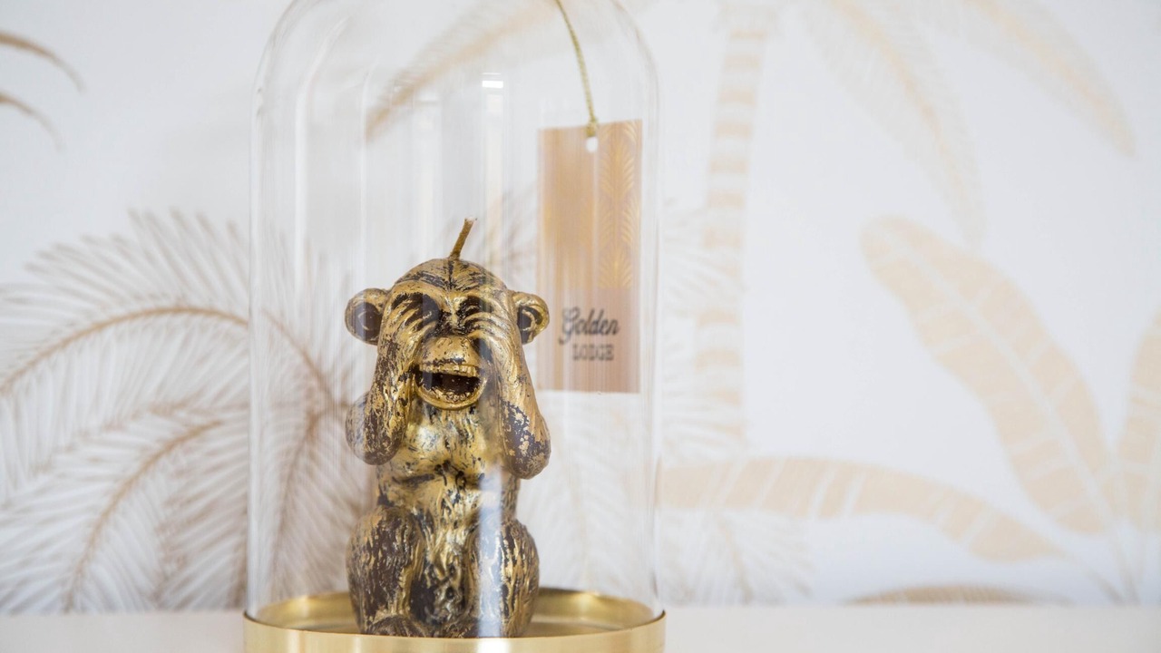 Photo of Others in La Chapelle-d'Armentieres