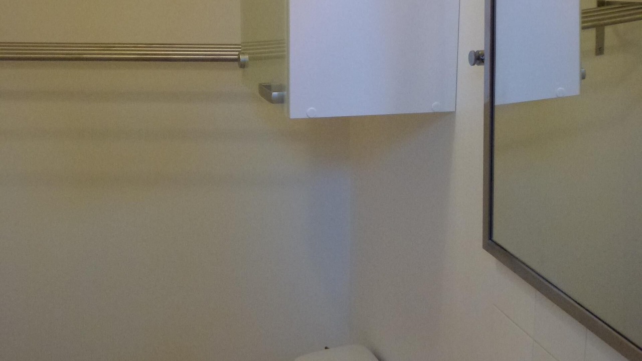 Photo of Bathroom in Leon Blum - Bon Coin