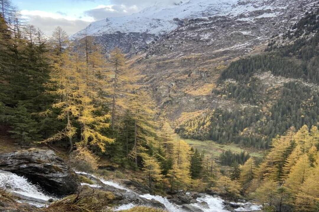 Photo of Outdoor in Sainte-Foy-Tarentaise