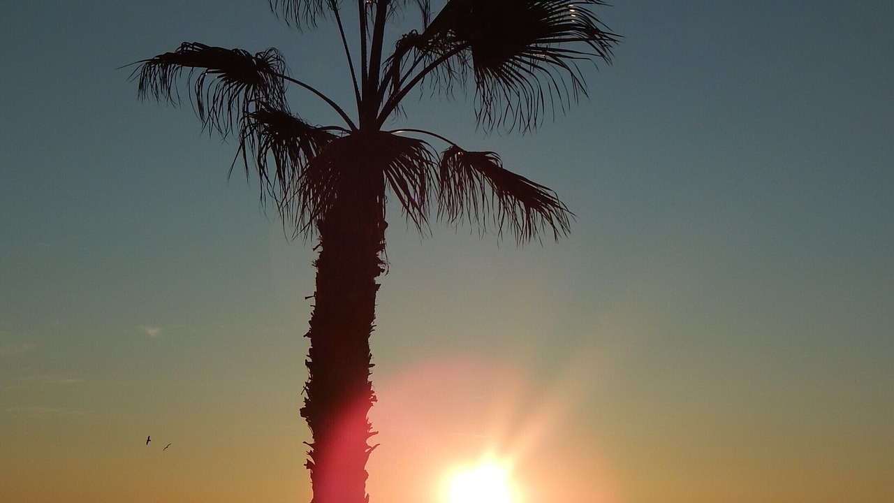 Photo of Others in Orihuela Costa
