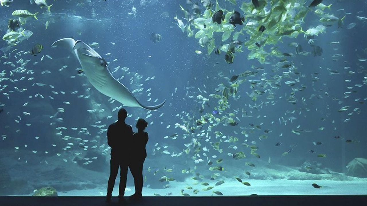 Photo of Others in Ambleteuse