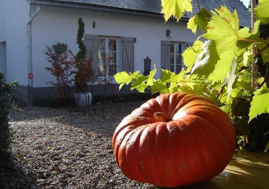 Photo of Outdoor in Tours-en-Vimeu
