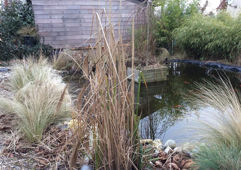 Photo of Outdoor in Tours-en-Vimeu