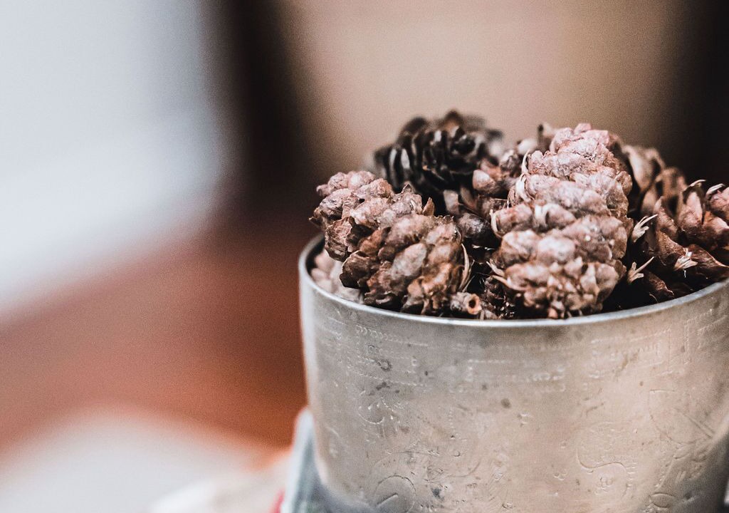 Photo of Others in Castlemaine