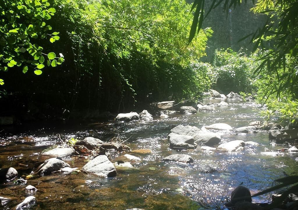 Photo of Outdoor in Montolieu