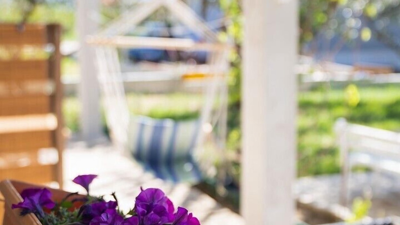 Photo of Outdoor in Rudine
