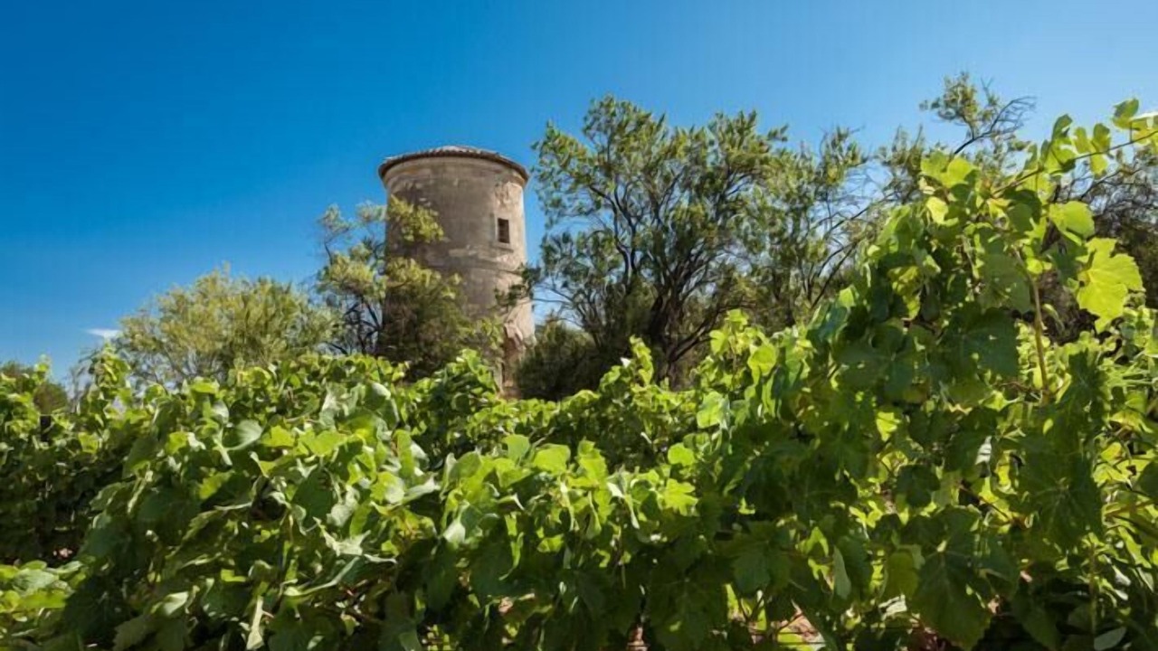 Photo of Outdoor in Salles-d'Aude