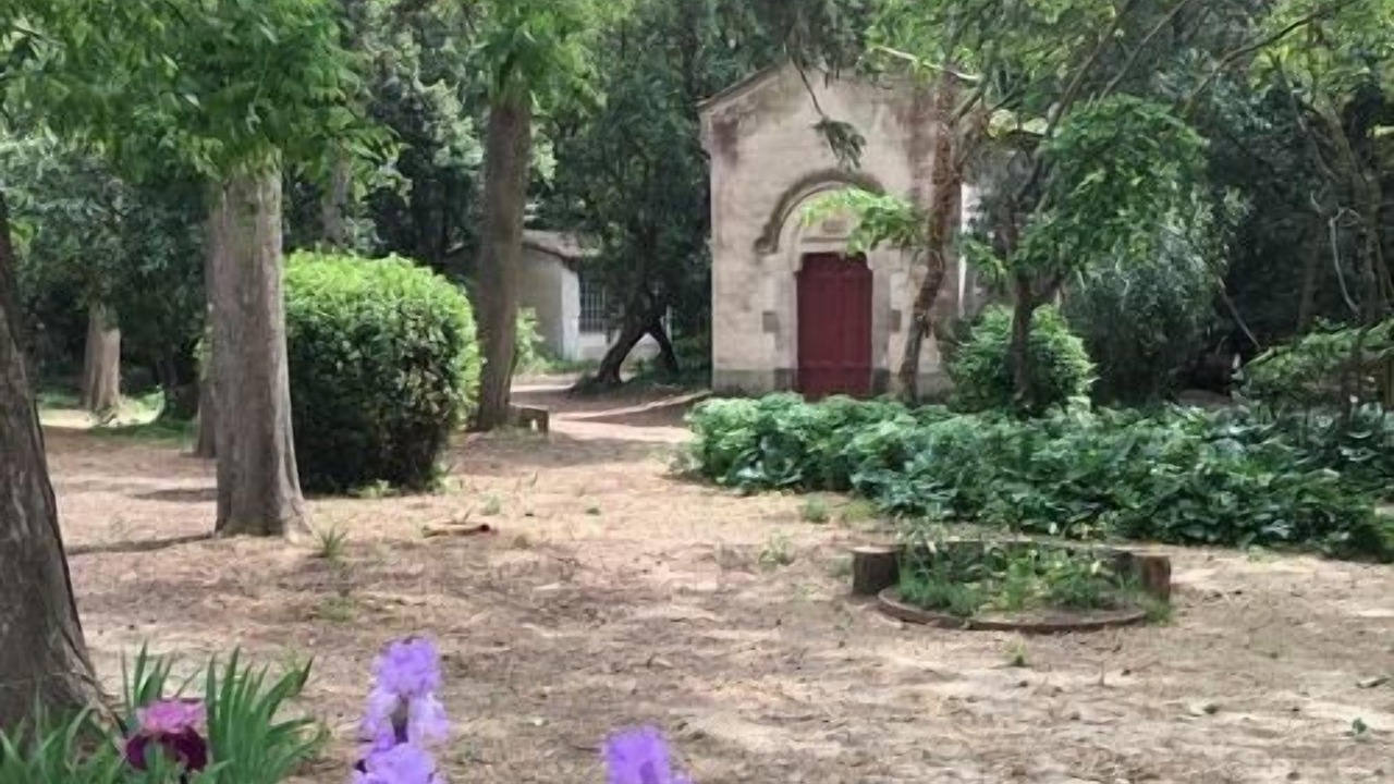Photo of Outdoor in Salles-d'Aude