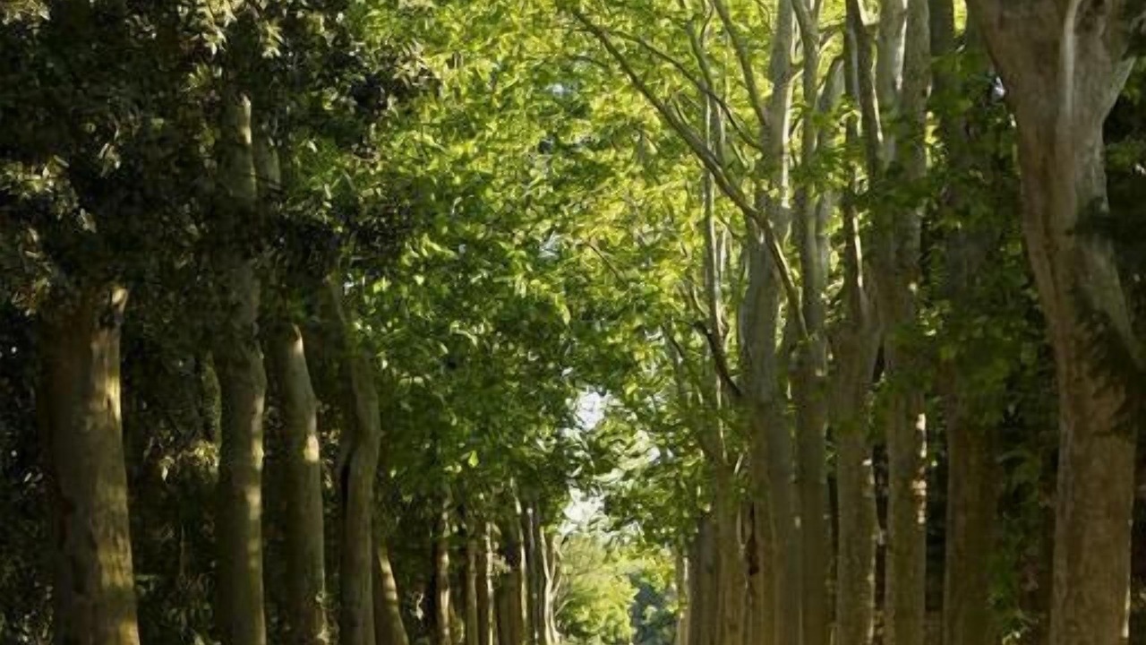 Photo of Outdoor in Salles-d'Aude