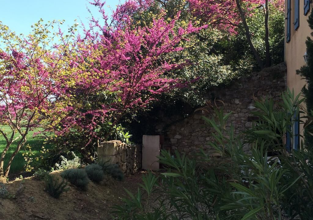 Photo of Outdoor in Salles-d'Aude