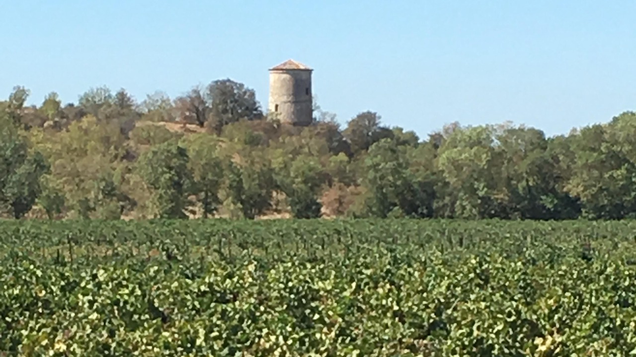 Photo of Outdoor in Salles-d'Aude