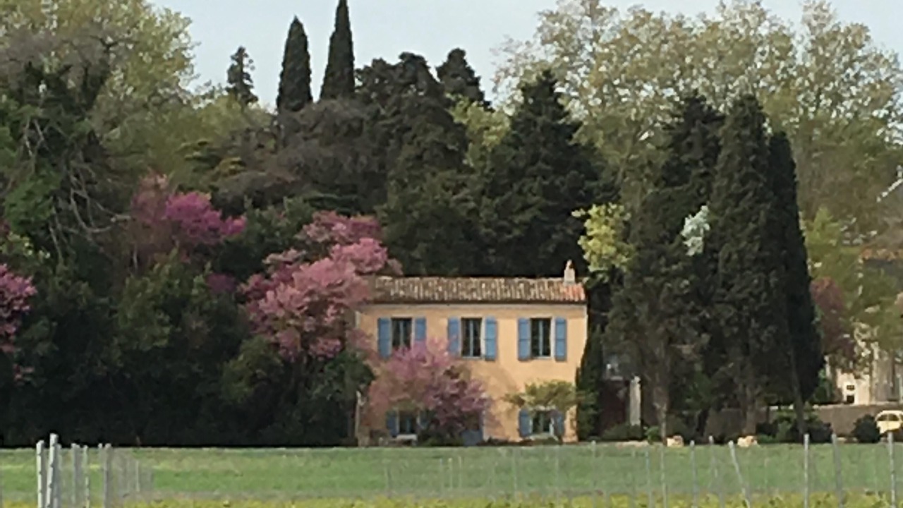 Photo of Outdoor in Salles-d'Aude