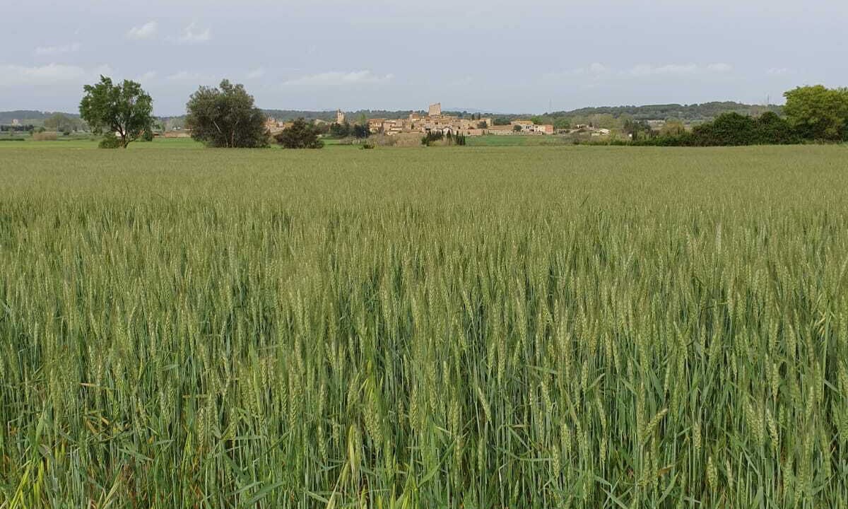 Photo of Outdoor in Peratallada