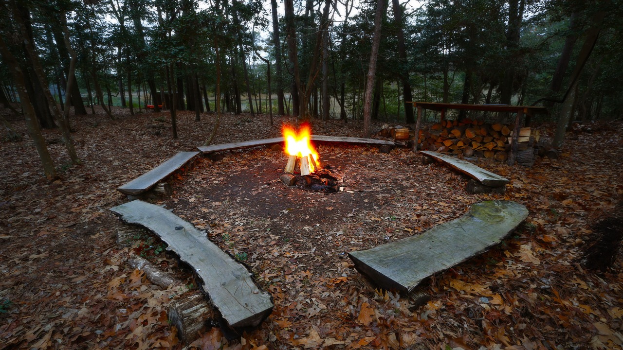 Photo of Outdoor in Cape Charles