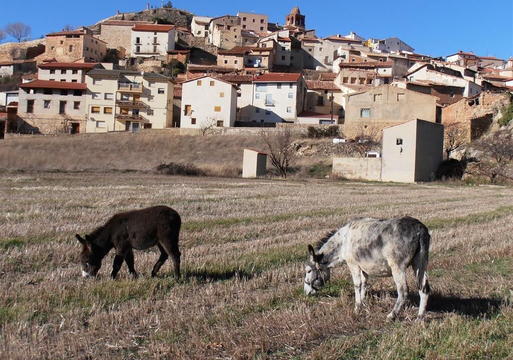 Photo of Outdoor in Ejulve