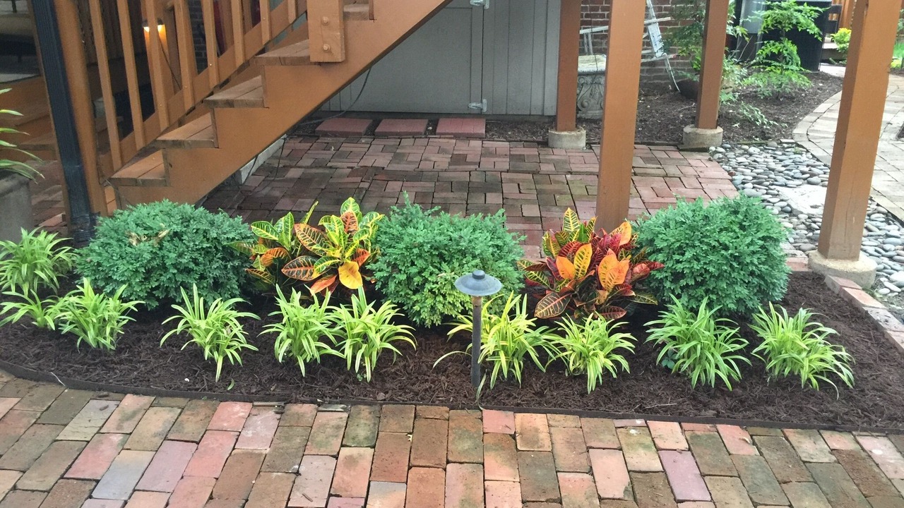 Photo of Outdoor in Soulard