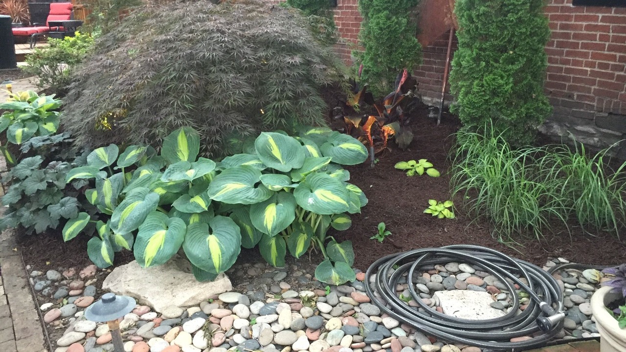 Photo of Outdoor in Soulard