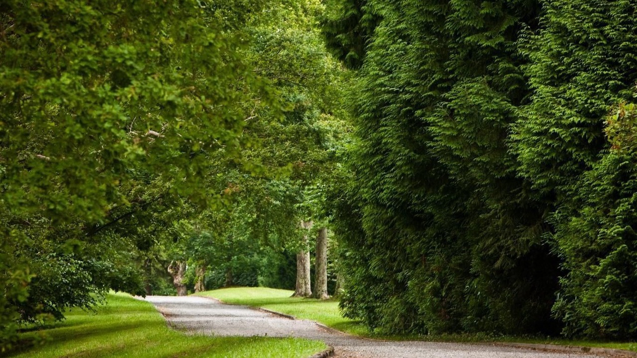 Photo of Others in Jurancon