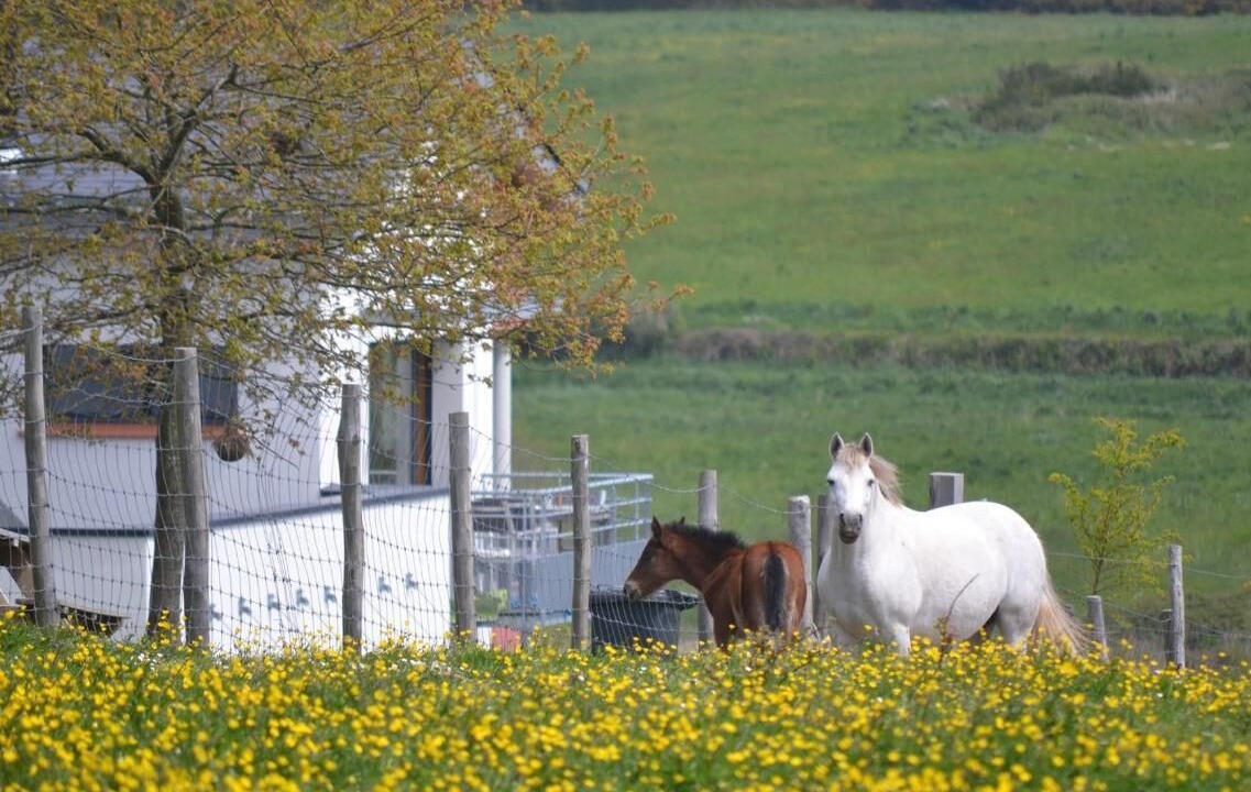 Photo of Outdoor in Baden