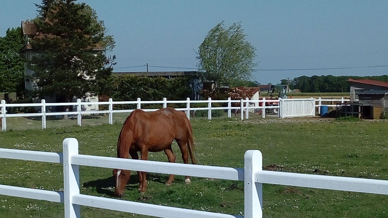 Photo of Others in Bossee