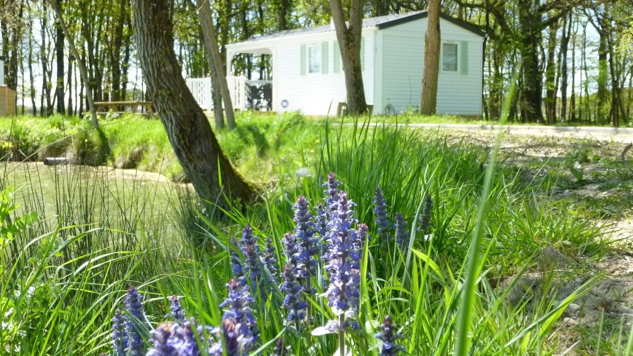 Photo of Outdoor in Bossee