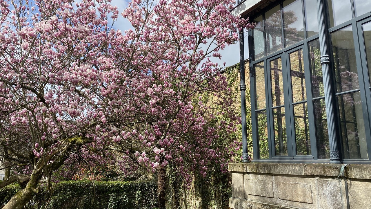 Photo of Patio Balcony in Limoges