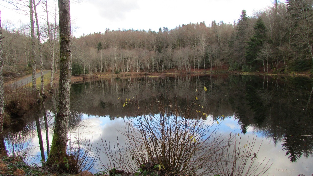 Photo of Outdoor in Montboudif