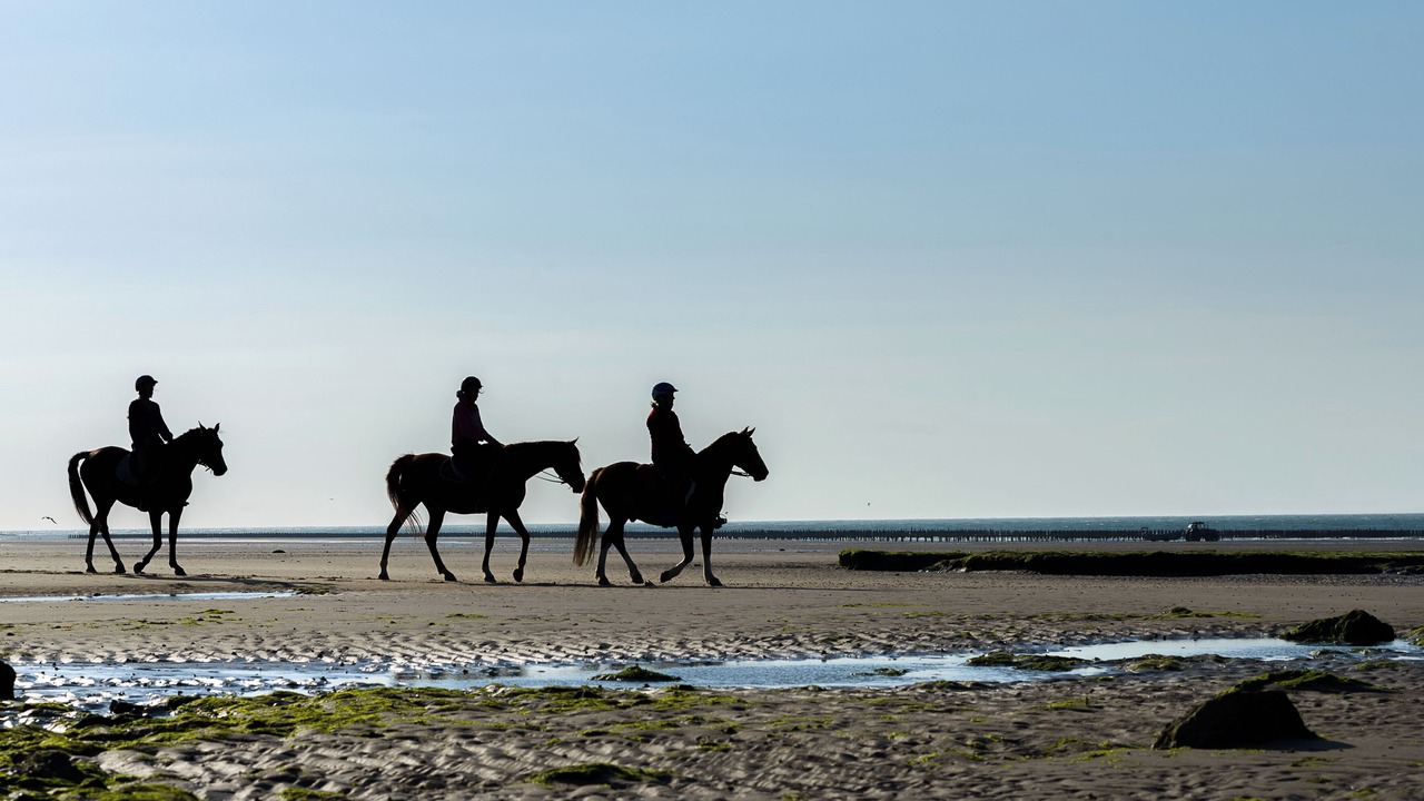 Photo of Others in Audinghen