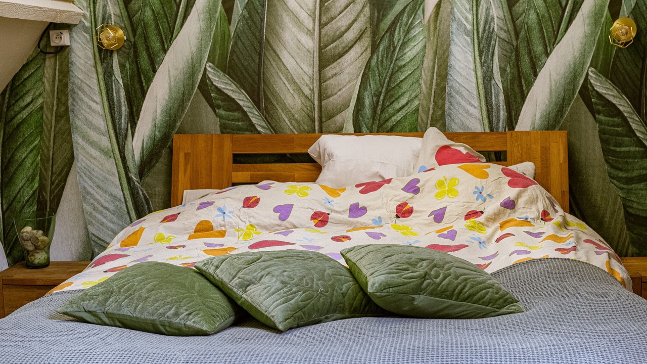 Photo of Bedroom in Audinghen