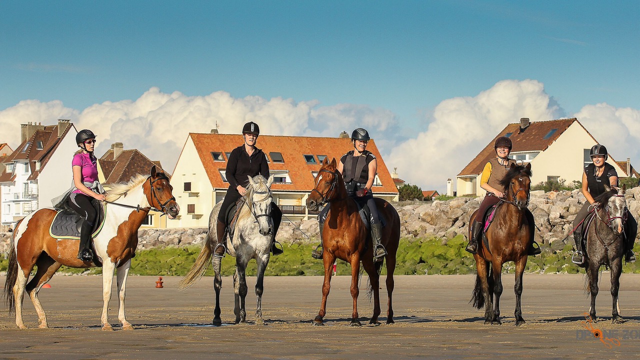 Photo of Others in Audinghen