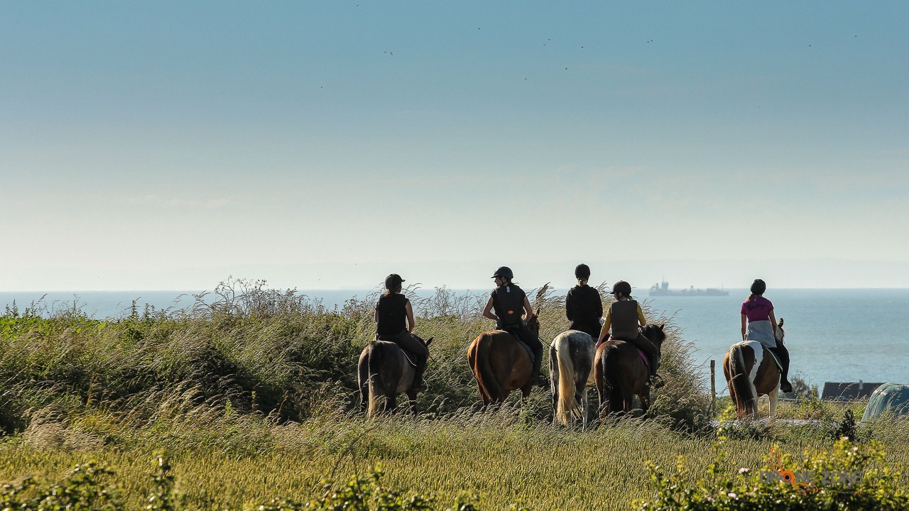 Photo of Others in Audinghen