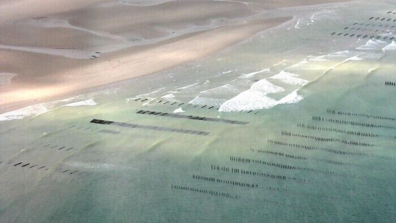 Photo of Outdoor in Audinghen