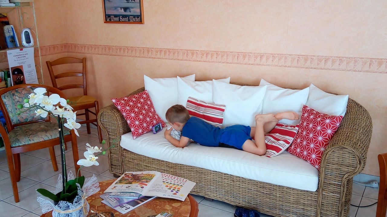 Photo of Livingroom in Pontorson