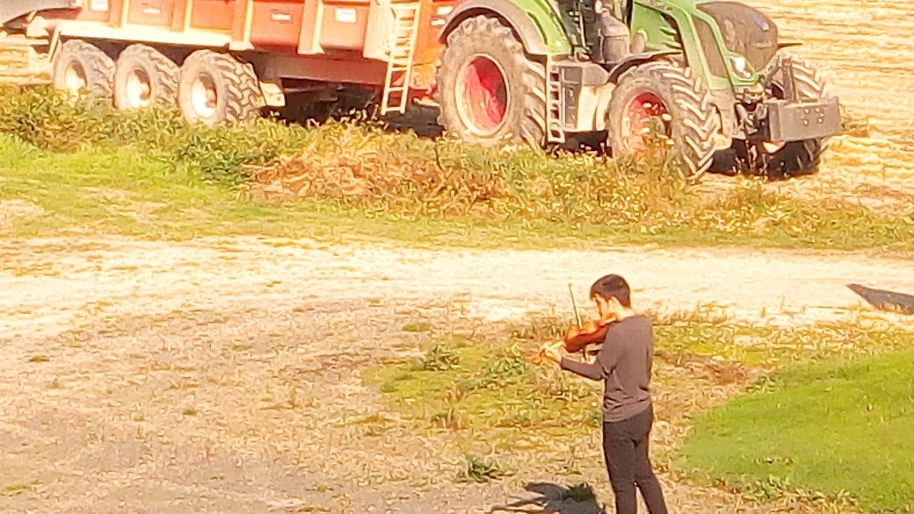 Photo of Outdoor in Pontorson