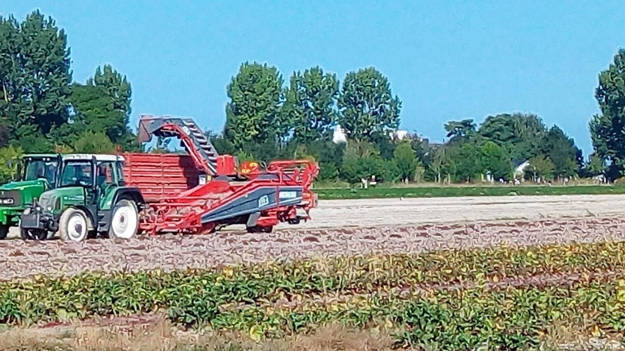 Photo of Others in Pontorson